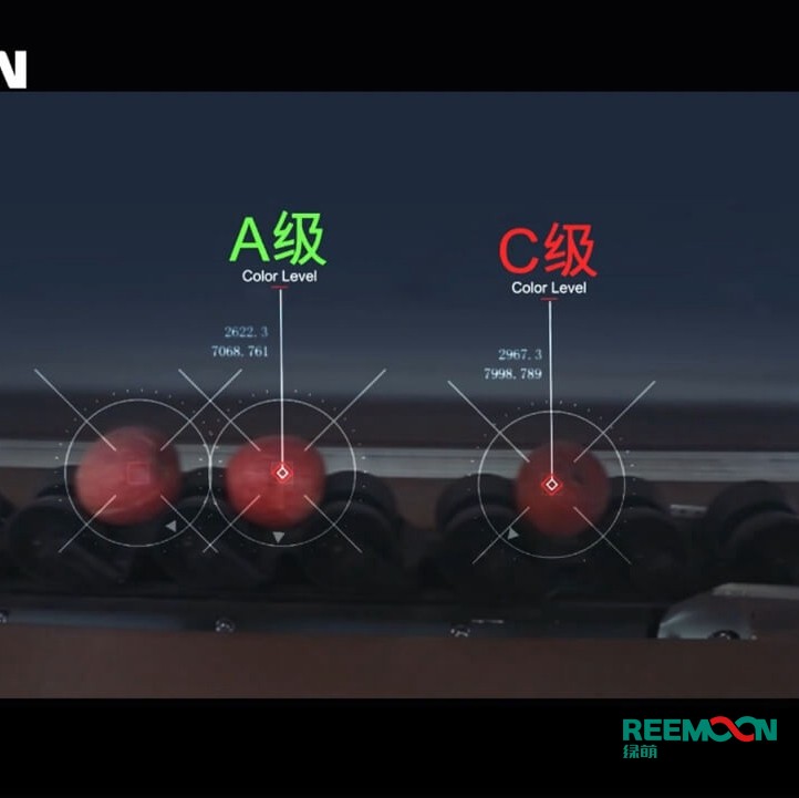 綠萌水果分選機(jī)多少錢？江西綠萌科技控股有限公司廠家直銷報(bào)價(jià)