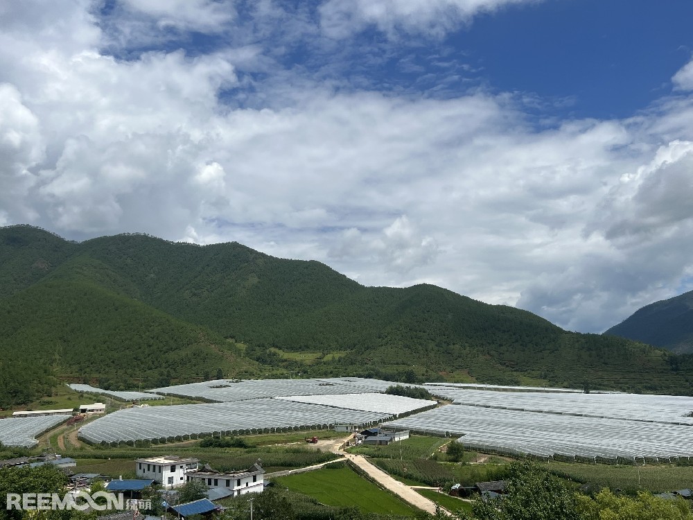 麗江市蘋果種植主產(chǎn)區(qū)海拔2400-2700米，良好的立體環(huán)境條件造就了麗江蘋果糖度高、果肉緊密、硬度高、無污染的品質(zhì)特點(diǎn)。2019年，在全國種植產(chǎn)區(qū)的甄選中，鑫榮懋選定了云南省麗江市蘋果優(yōu)勢產(chǎn)區(qū)作為未來蘋果種植項(xiàng)目的實(shí)施地，目前已種植新西蘭引進(jìn)的優(yōu)良蘋果品種。鑫榮懋以新品種、新技術(shù)及高品質(zhì)為發(fā)展蘋果種植的新契機(jī)，